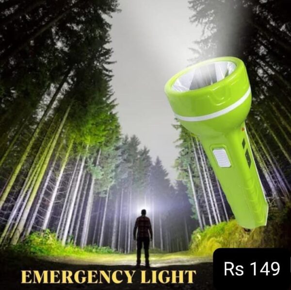 Emergency light